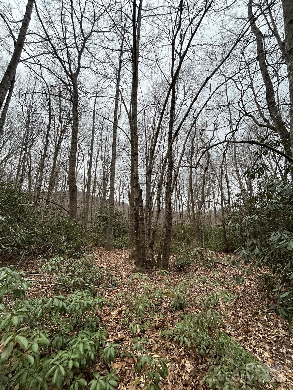 000 Lytle Cove Road Property Photo 15