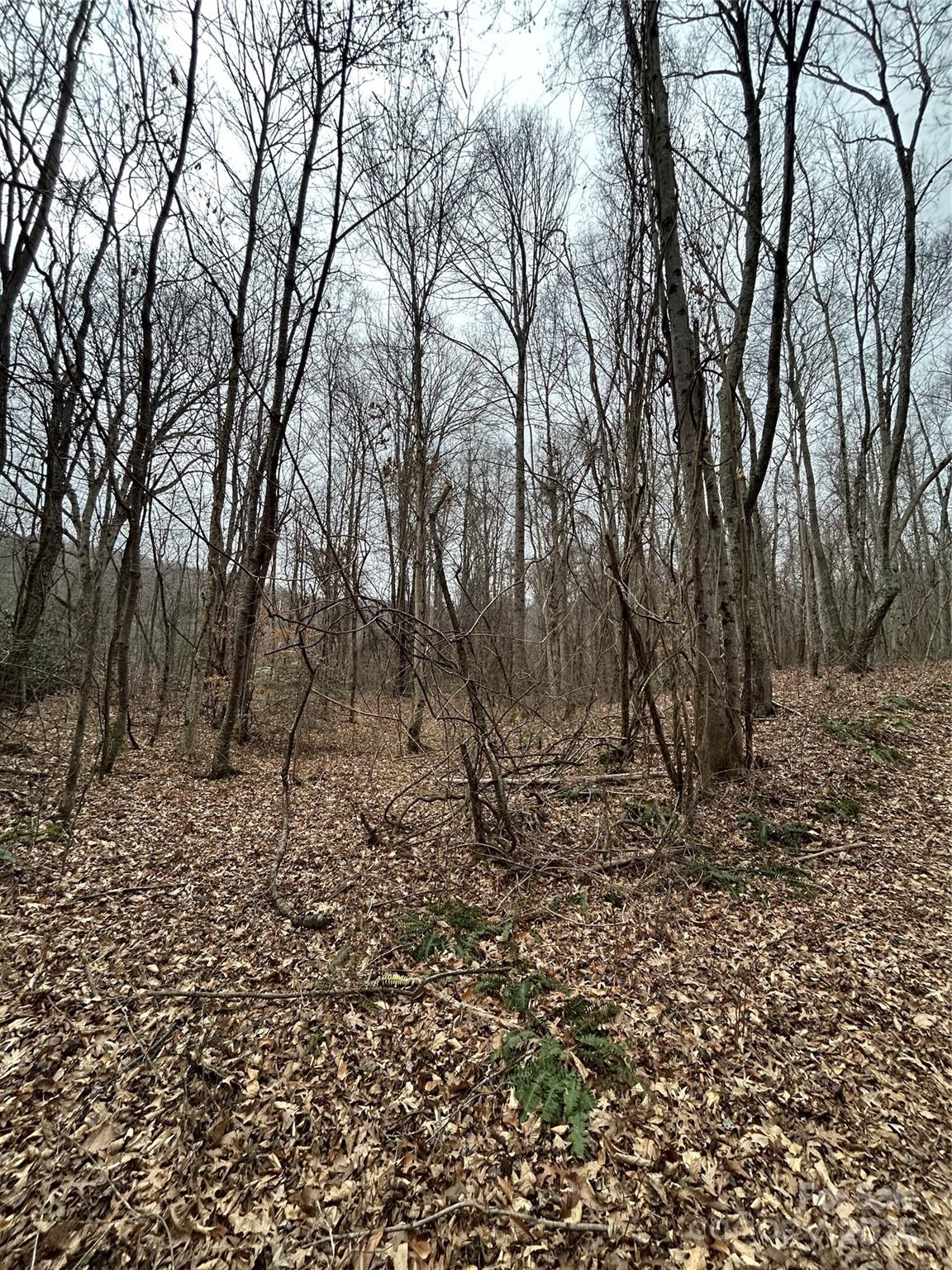 000 Lytle Cove Road Property Photo 19