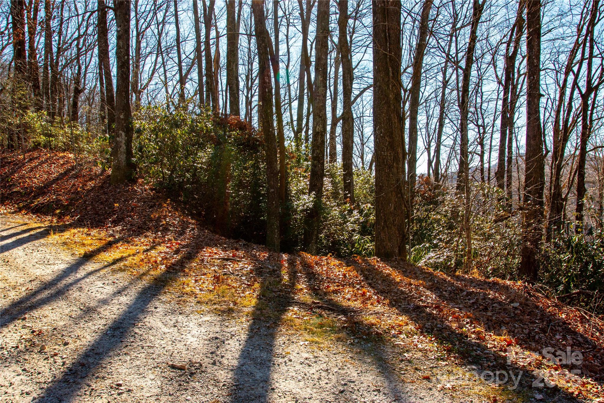 Lot 18 Joshua Road Property Photo 3