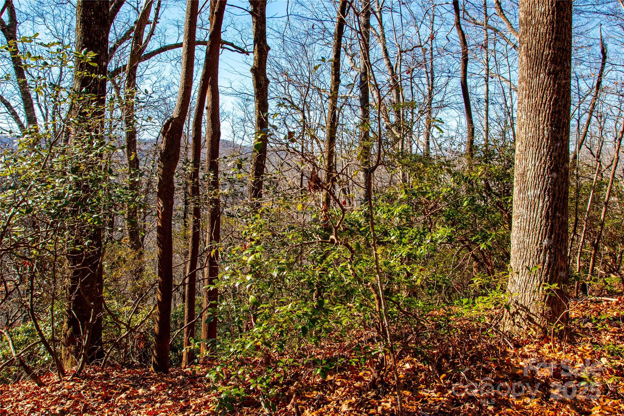 Lot 18 Joshua Road Property Photo 5