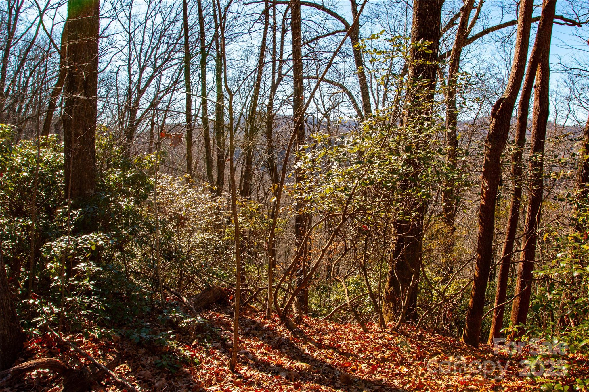 Lot 18 Joshua Road Property Photo 6