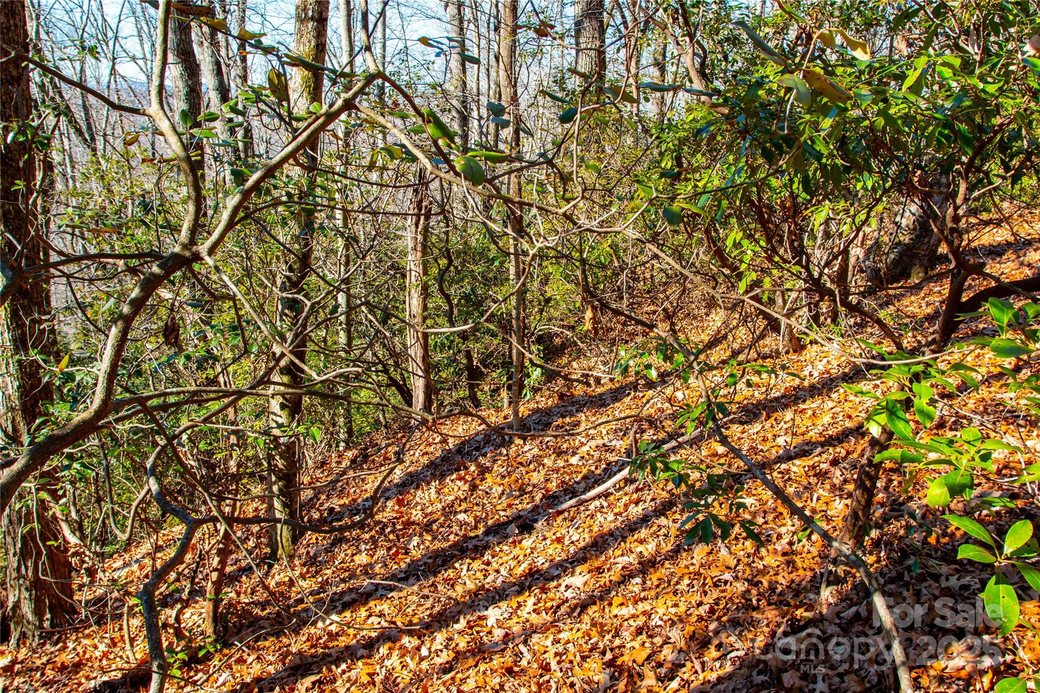Lot 18 Joshua Road Property Photo 8