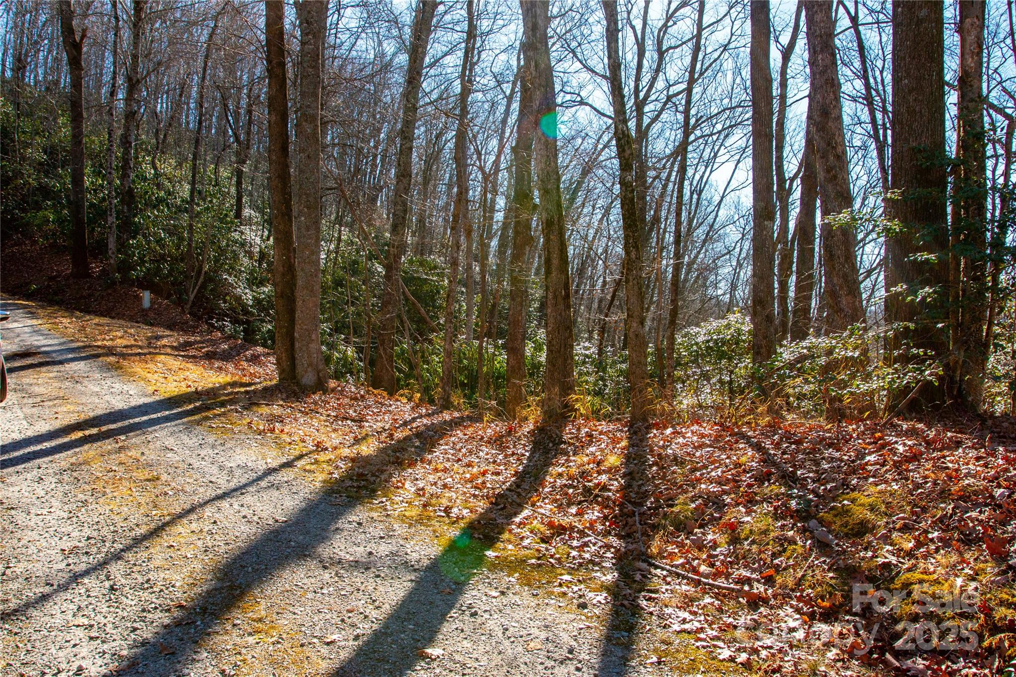 Lot 18 Joshua Road Property Photo 10