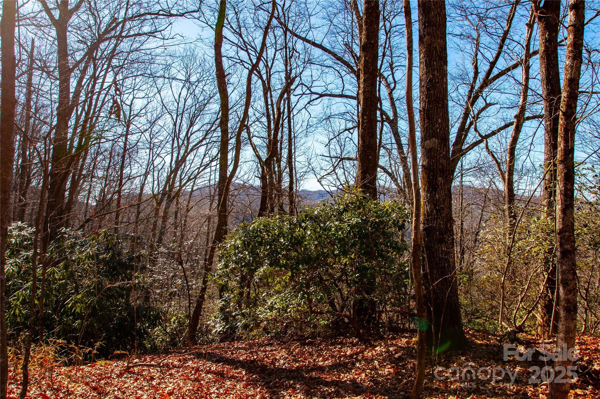 Lot 18 Joshua Road Property Photo 12
