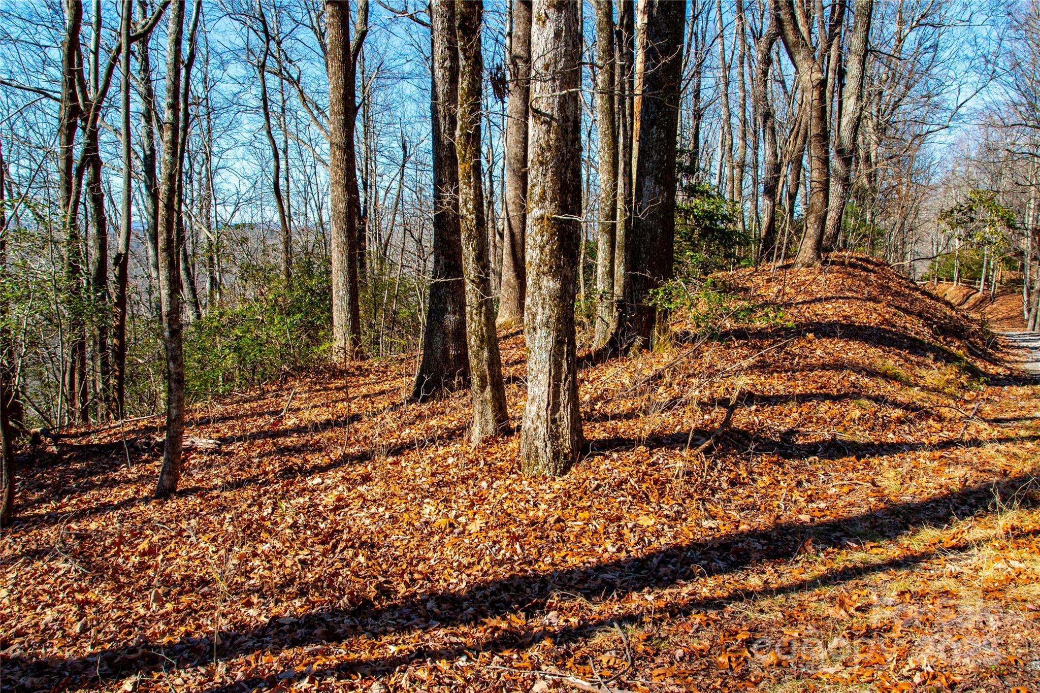 Lot 18 Joshua Road Property Photo 13