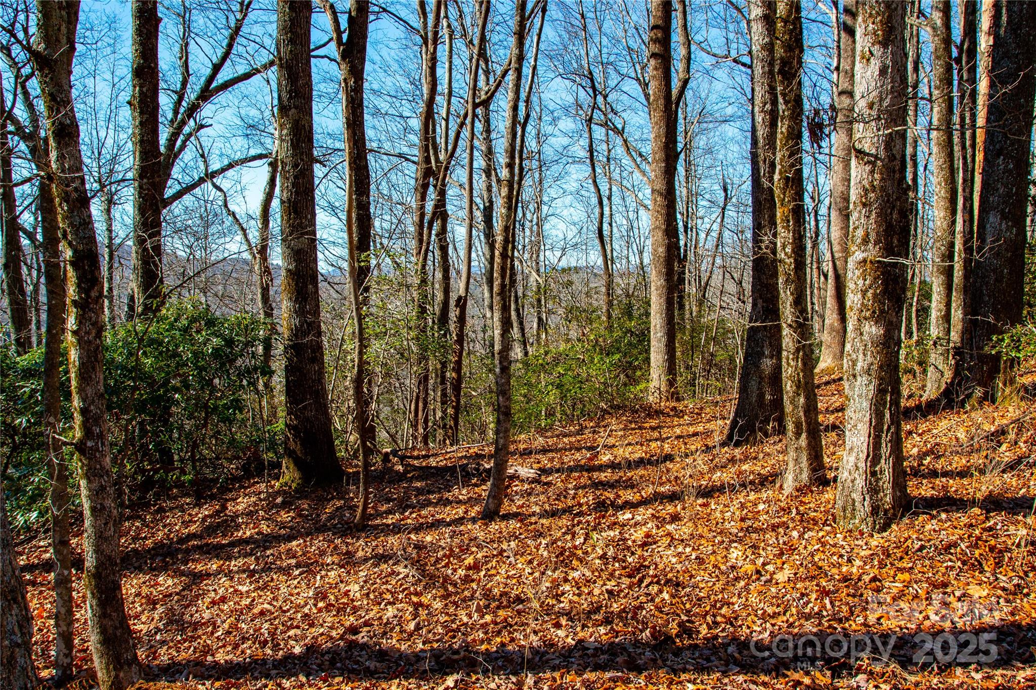 Lot 18 Joshua Road Property Photo 14