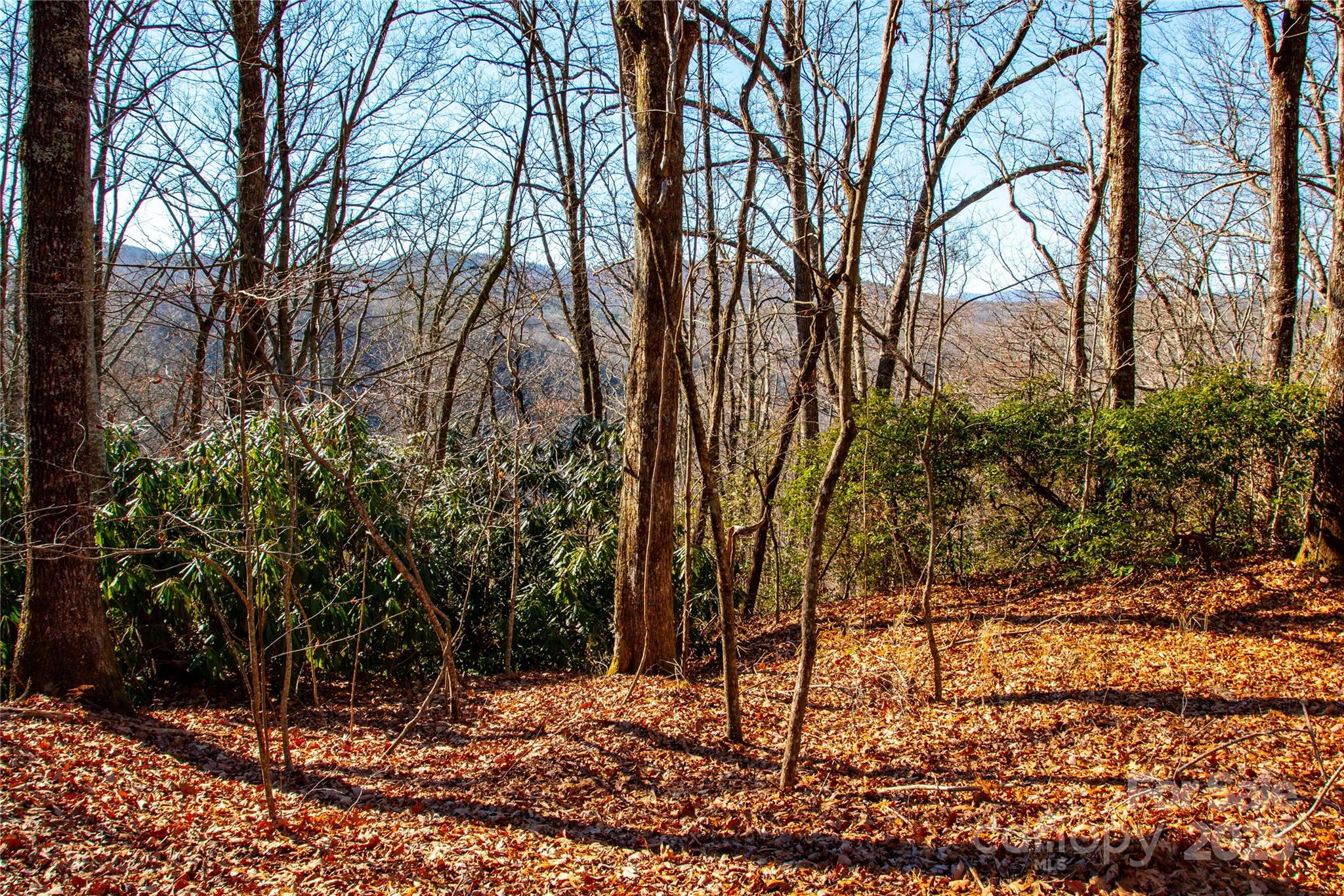 Lot 18 Joshua Road Property Photo 15
