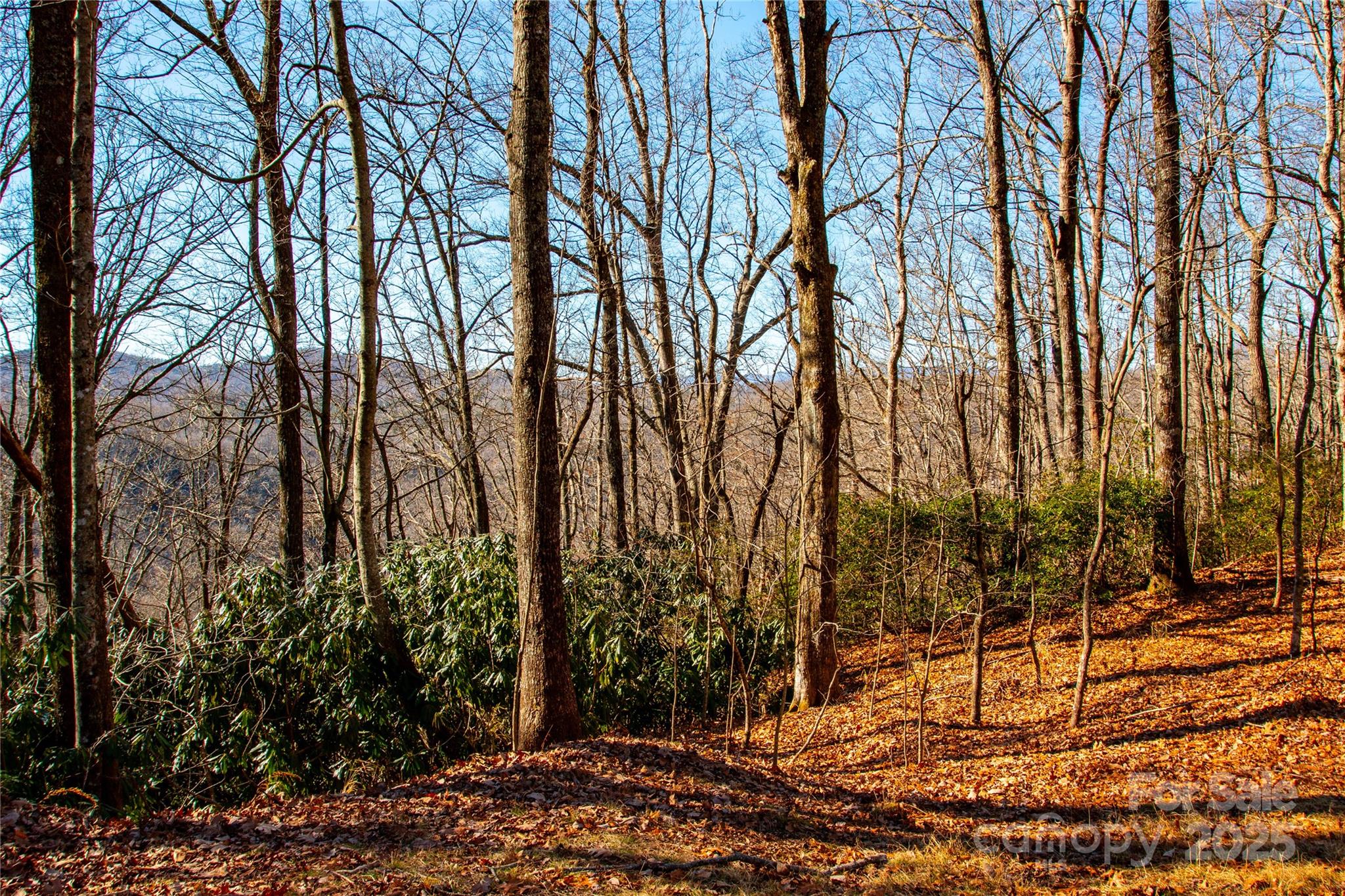 Lot 18 Joshua Road Property Photo 16