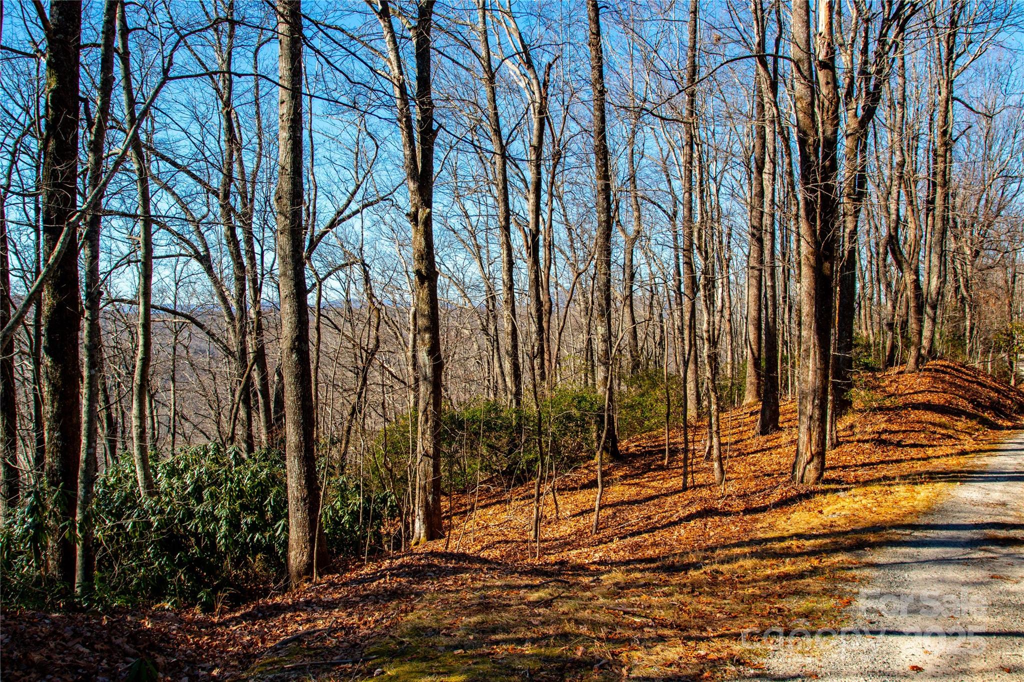 Lot 18 Joshua Road Property Photo 19