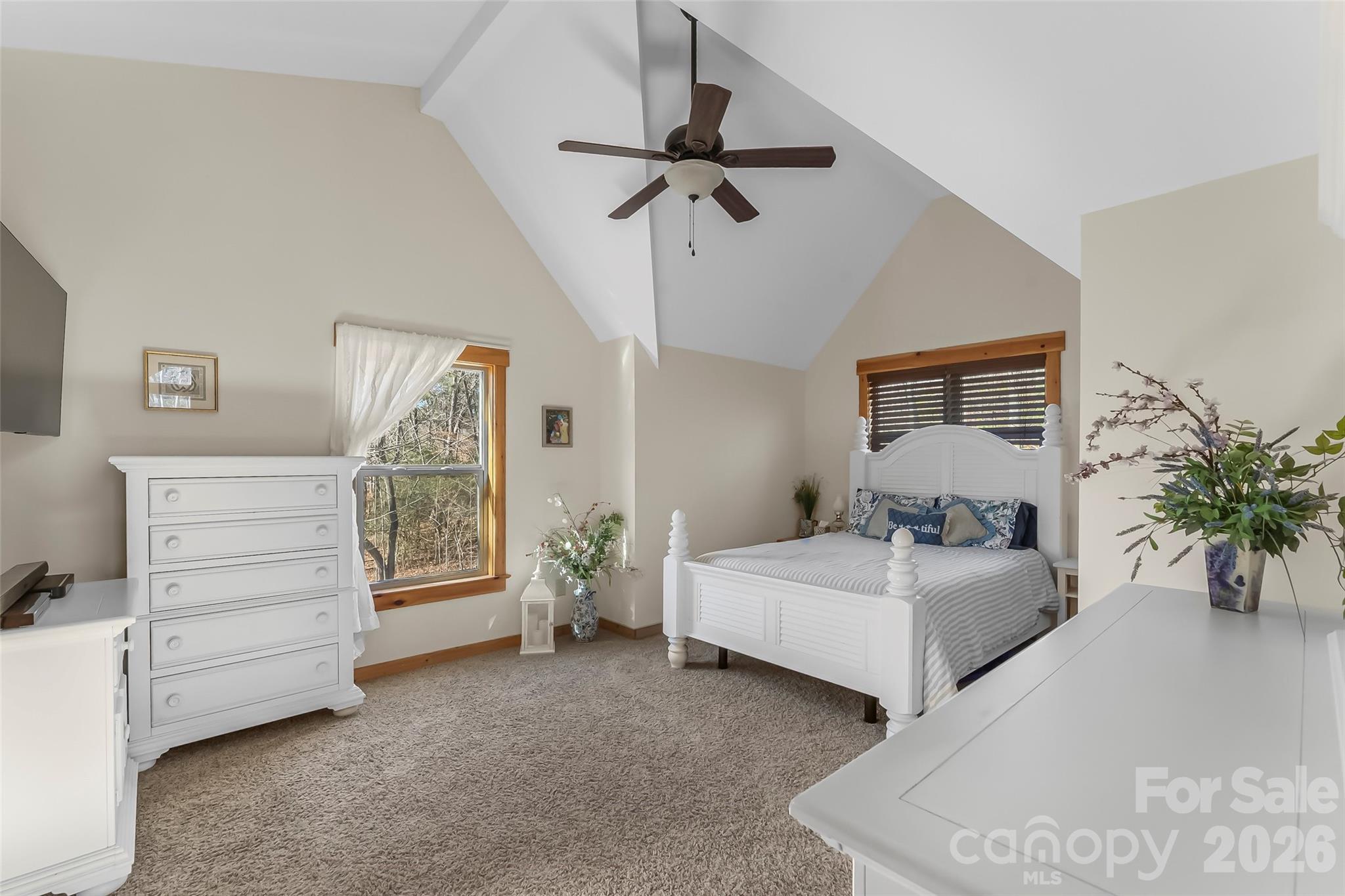 204 Mountain Vista Drive Property Photo 28