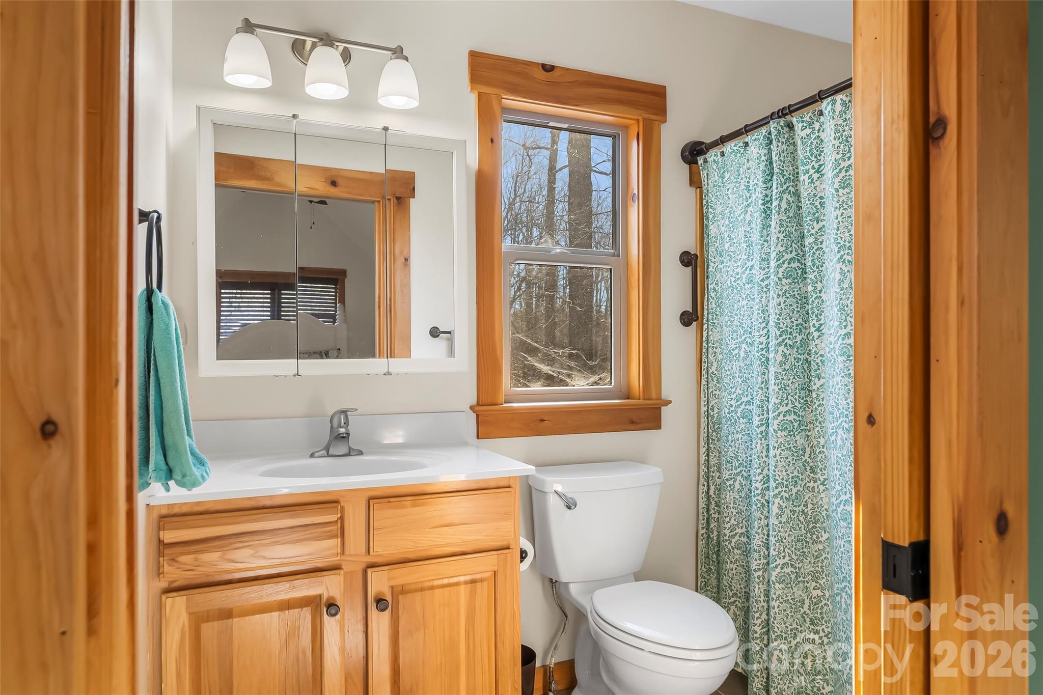 204 Mountain Vista Drive Property Photo 29