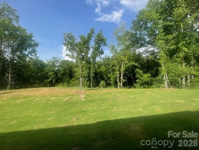 254 Alluvium Lane Property Photo 11