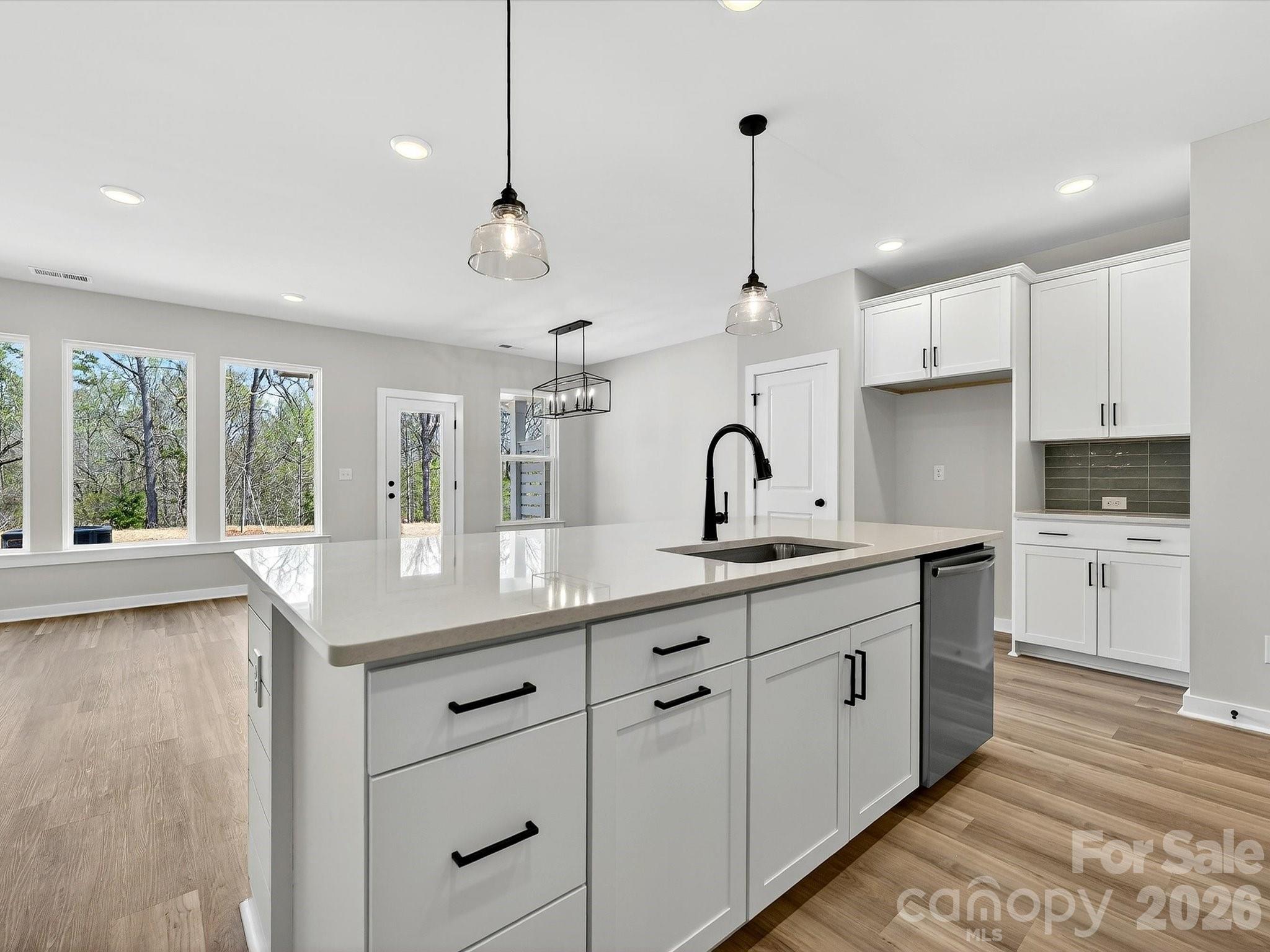 254 Alluvium Lane Property Photo 18
