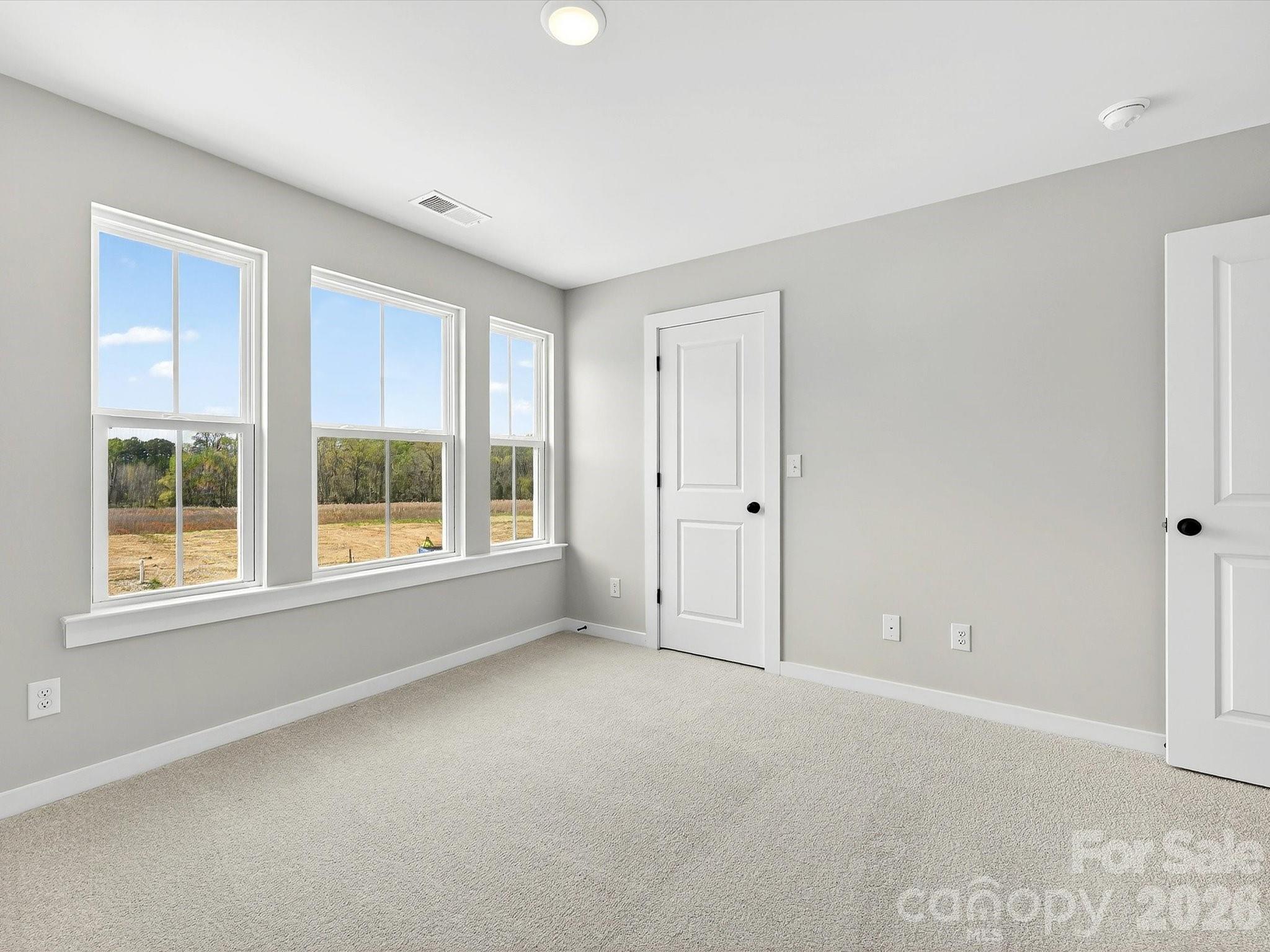 254 Alluvium Lane Property Photo 25