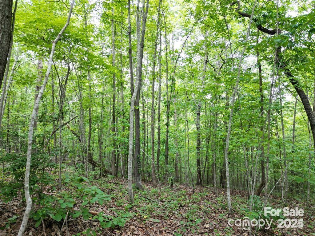Lot 29 Watson Way 29 Property Photo 7