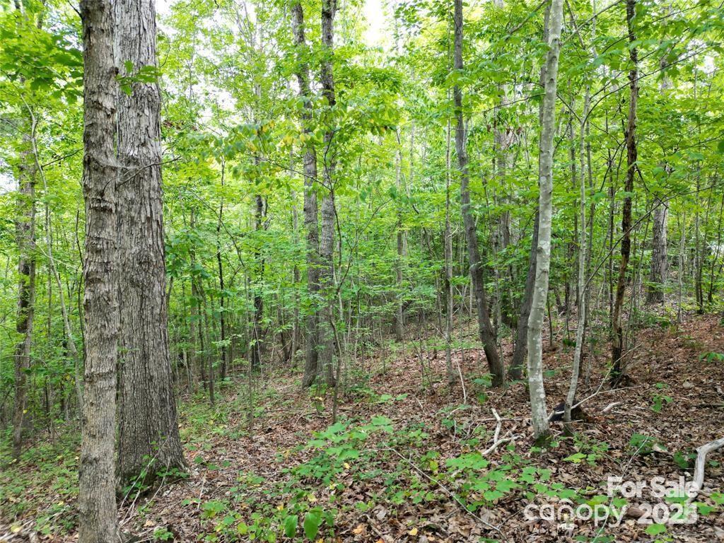 Lot 29 Watson Way 29 Property Photo 8