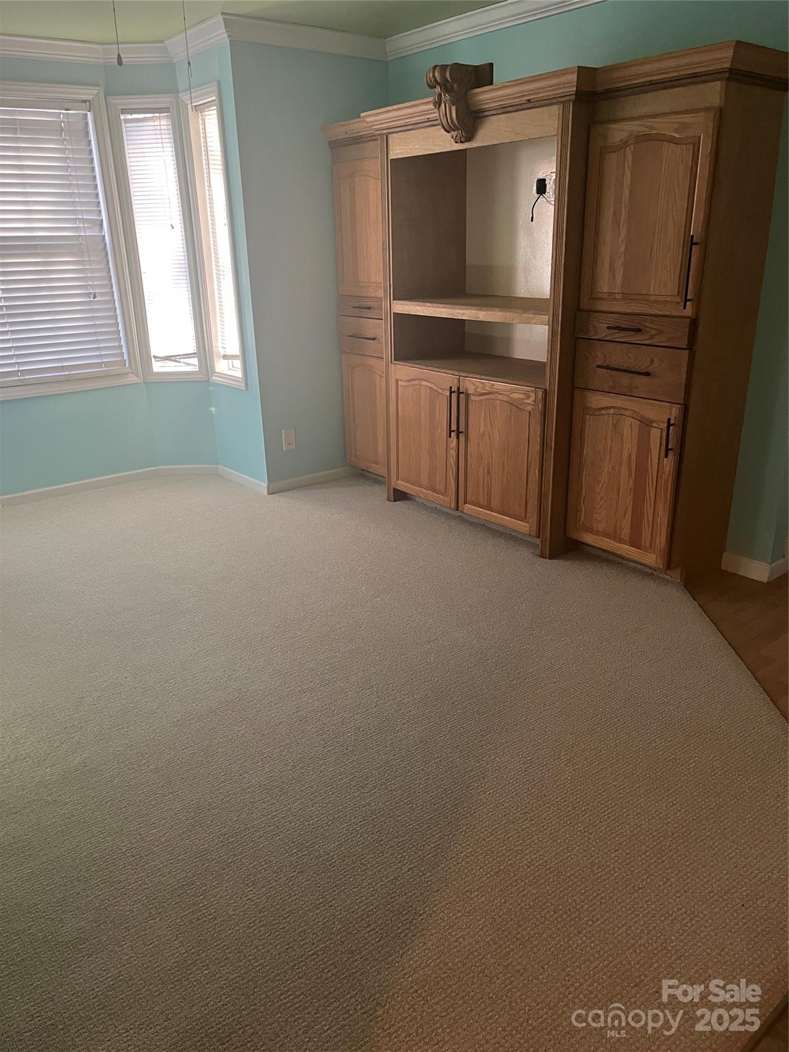 6341 Macon Street Property Photo 19
