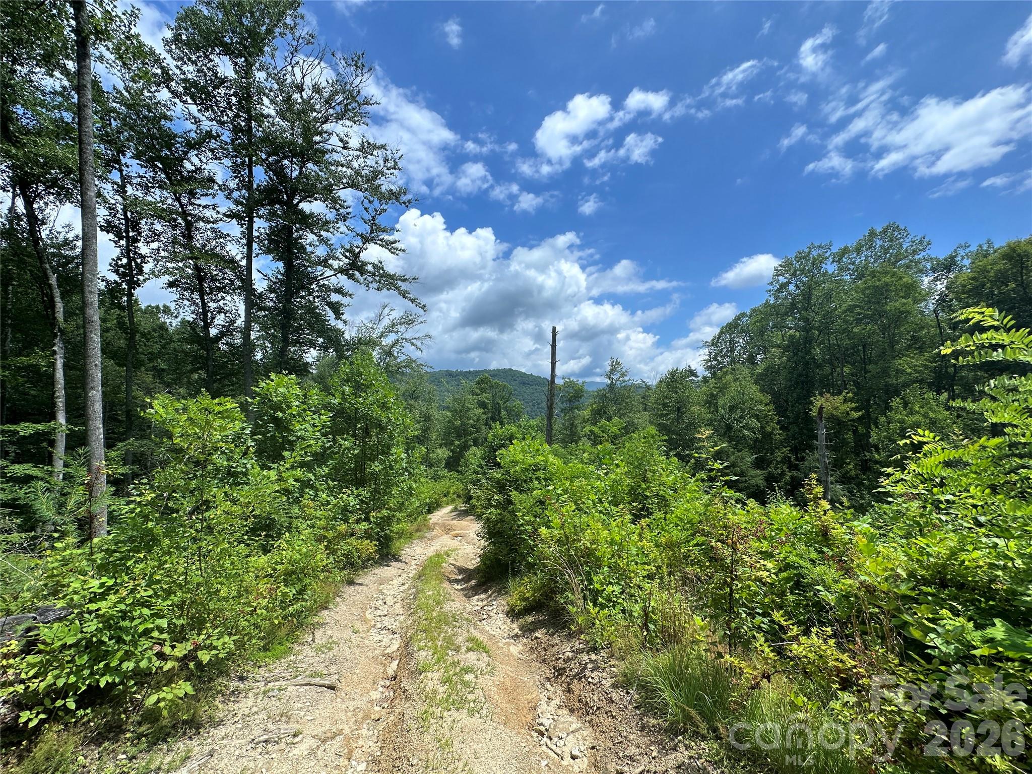 Tbd Nc Highway 194 None Property Photo 2