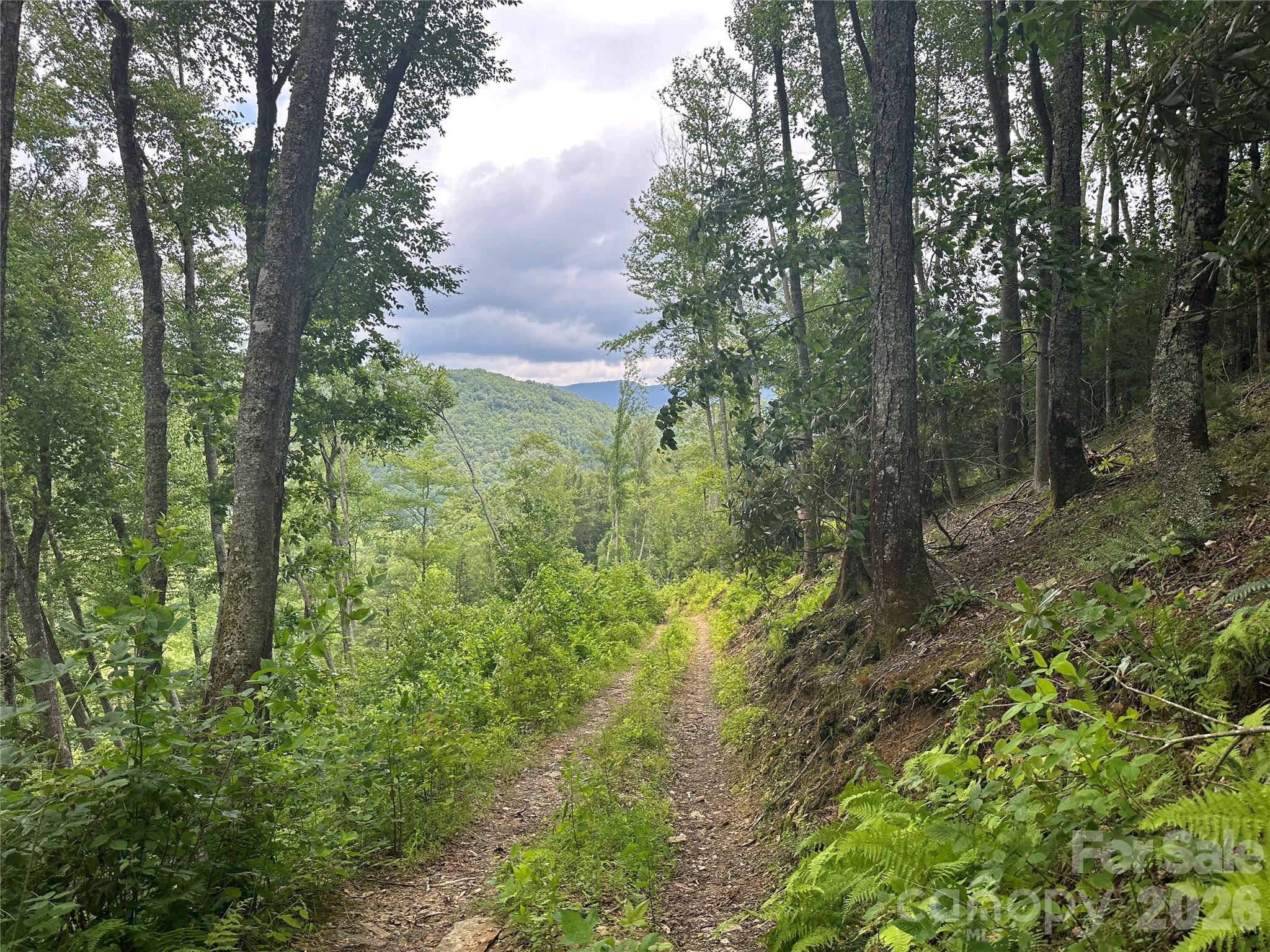 Tbd Nc Highway 194 None Property Photo 8