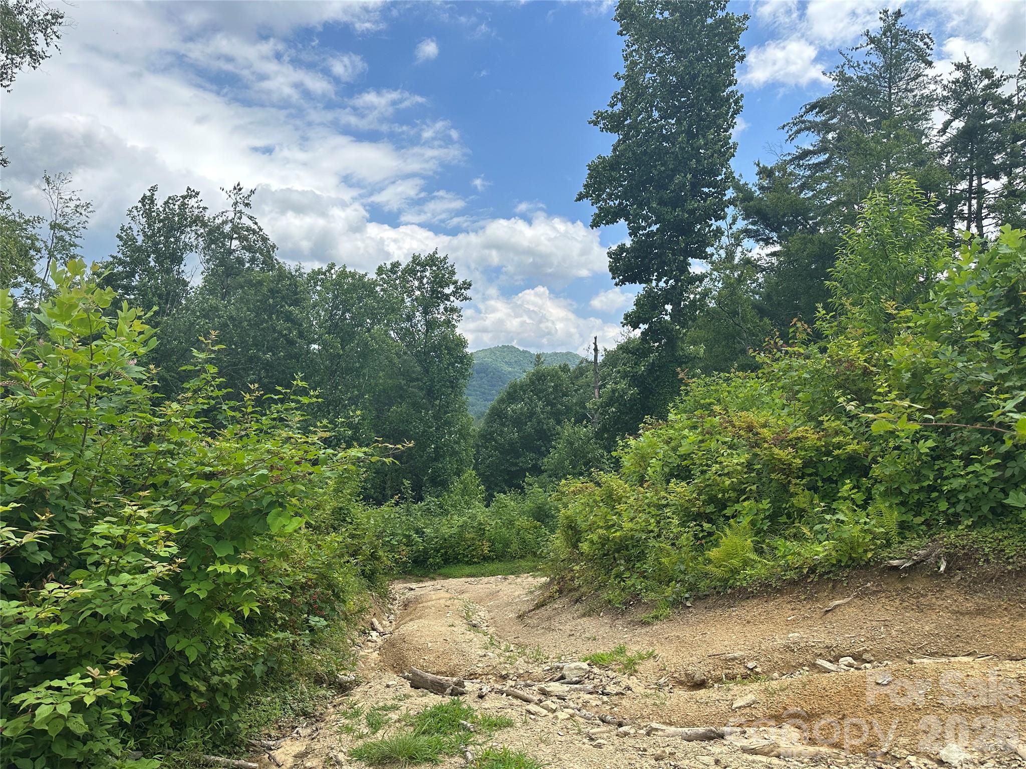 Tbd Nc Highway 194 None Property Photo 9