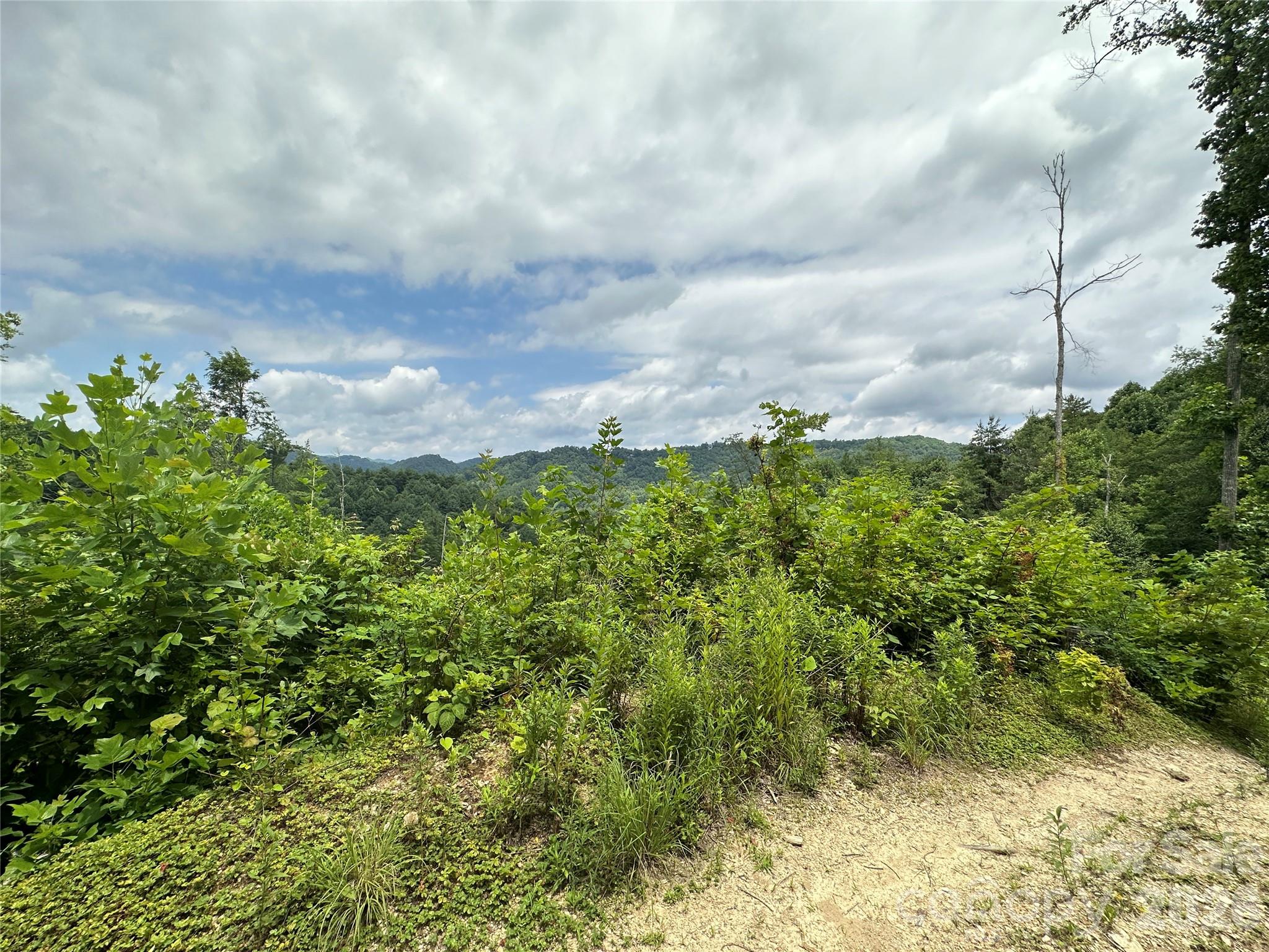 Tbd Nc Highway 194 None Property Photo 10