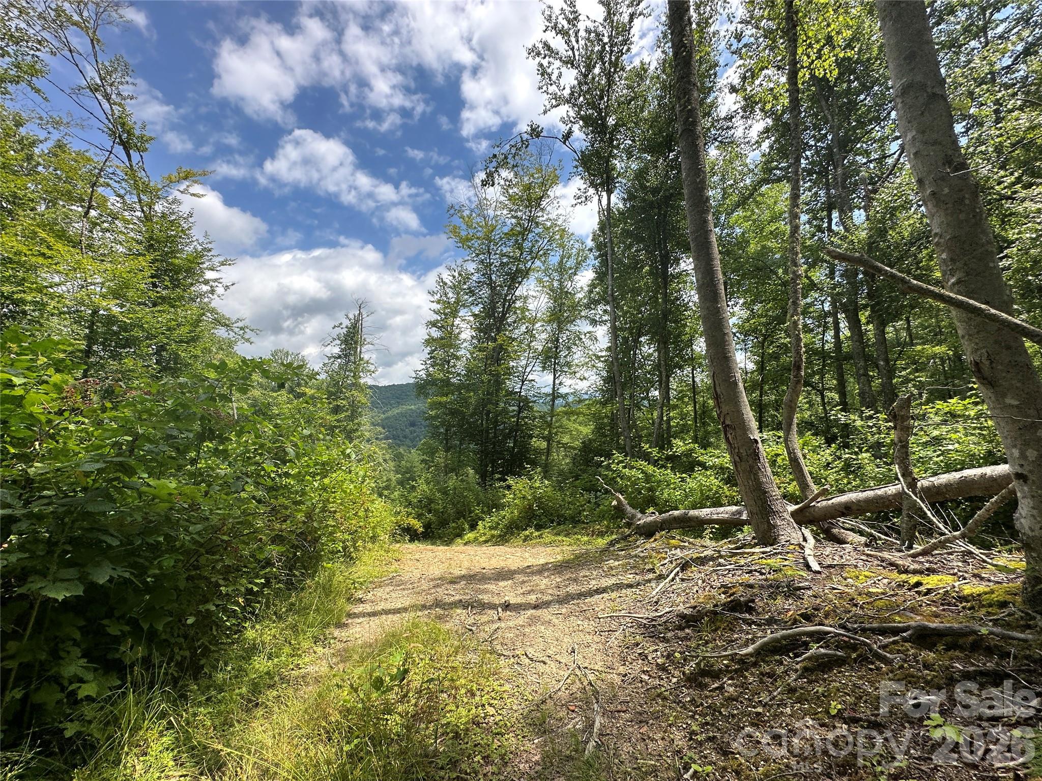 Tbd Nc Highway 194 None Property Photo 11