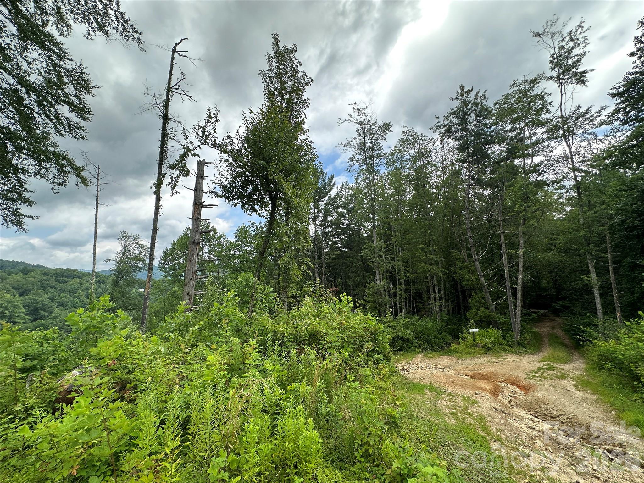 Tbd Nc Highway 194 None Property Photo 12