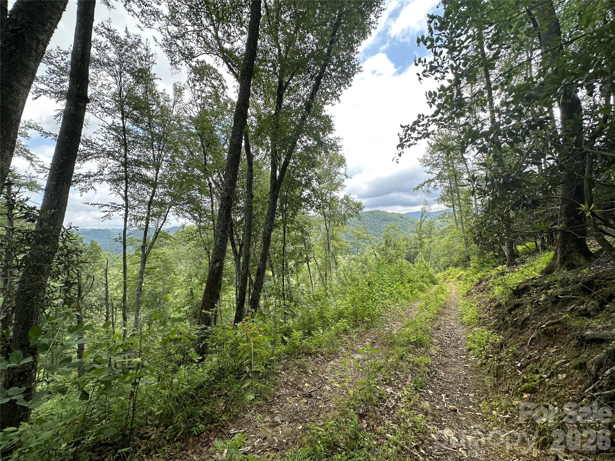 Tbd Nc Highway 194 None Property Photo 14