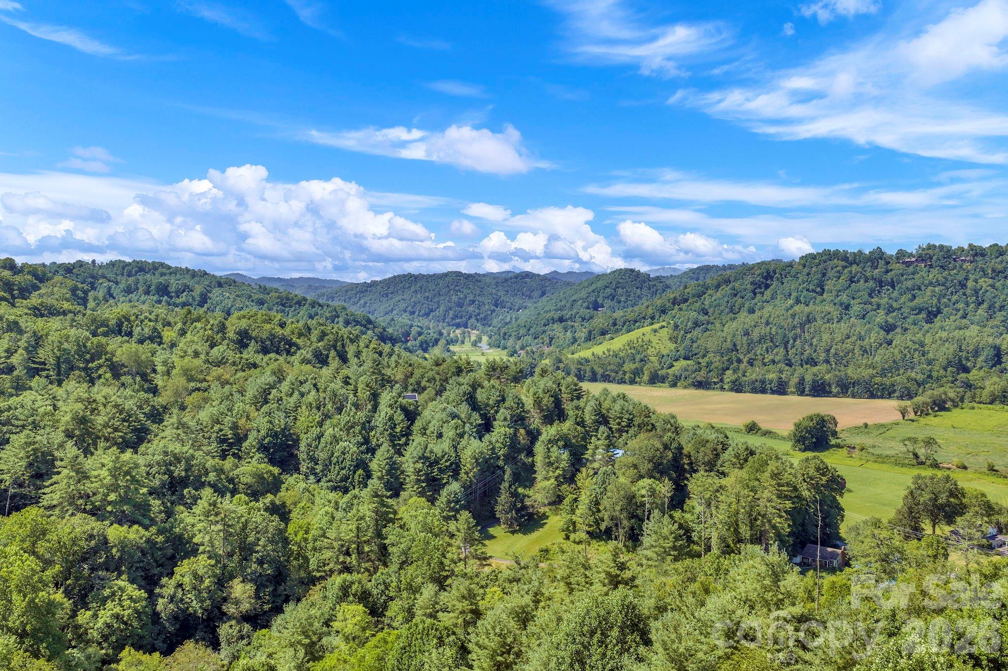 Tbd Nc Highway 194 None Property Photo 21