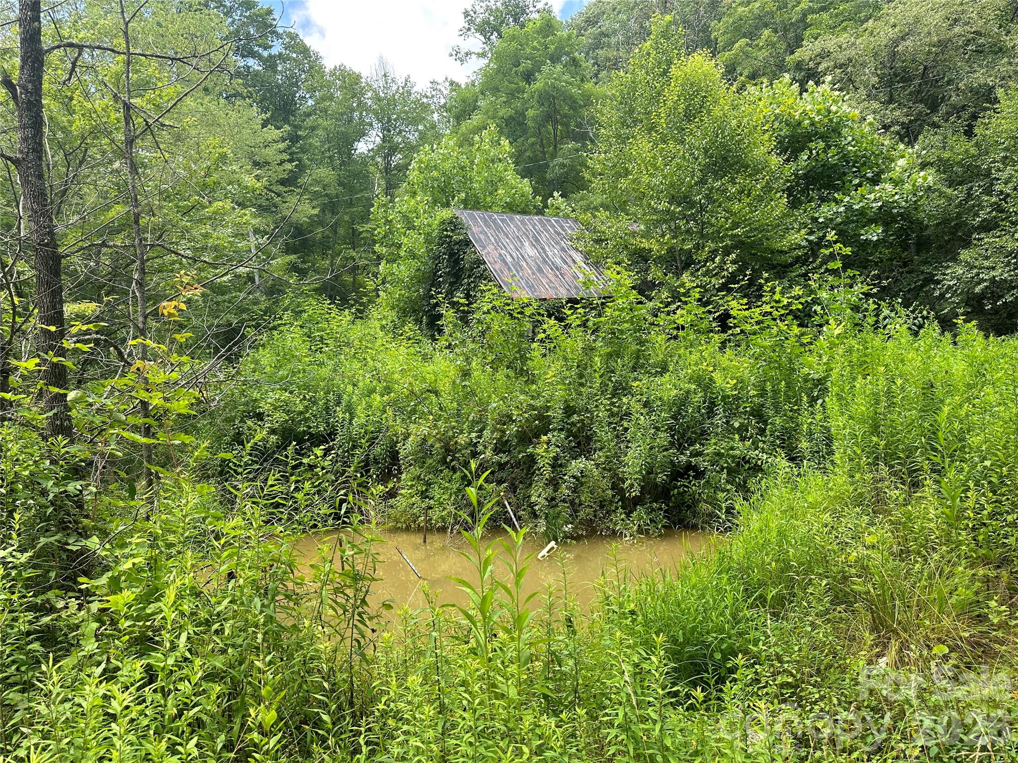 Tbd Nc Highway 194 None Property Photo 23