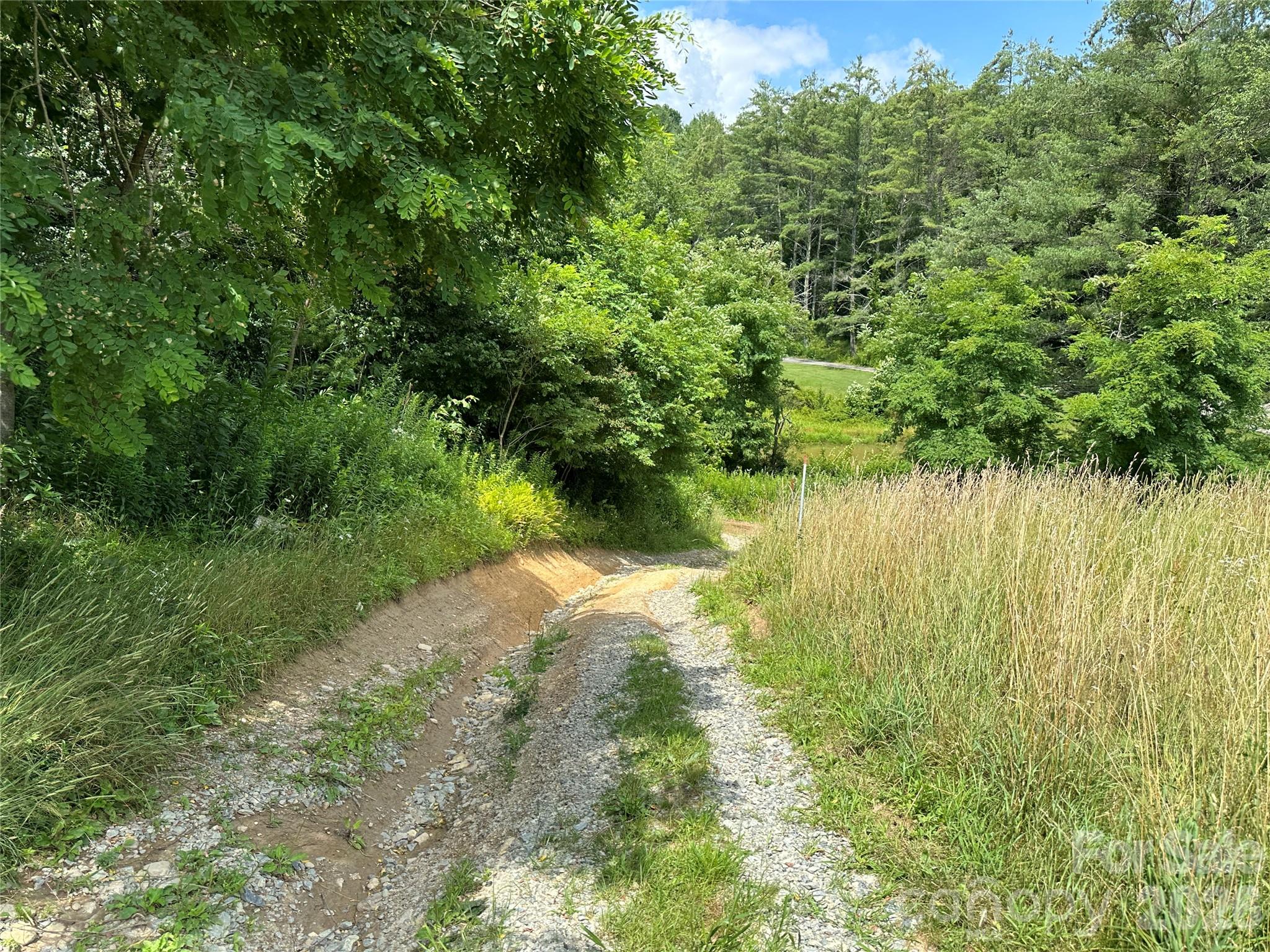 Tbd Nc Highway 194 None Property Photo 24