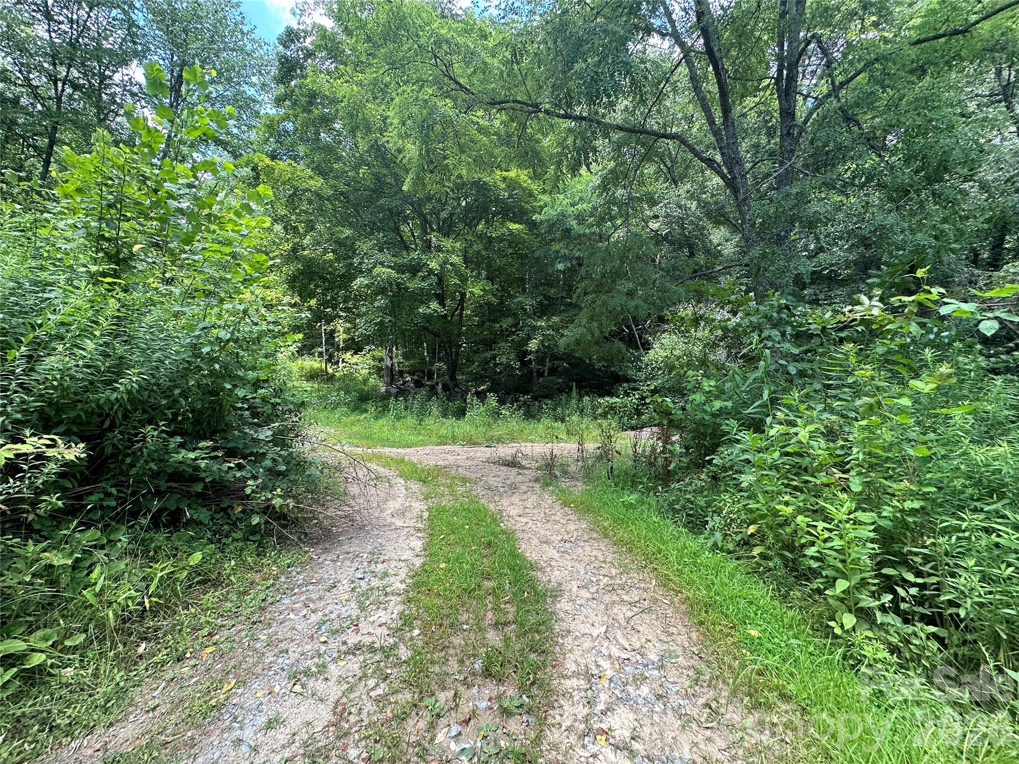 Tbd Nc Highway 194 None Property Photo 25