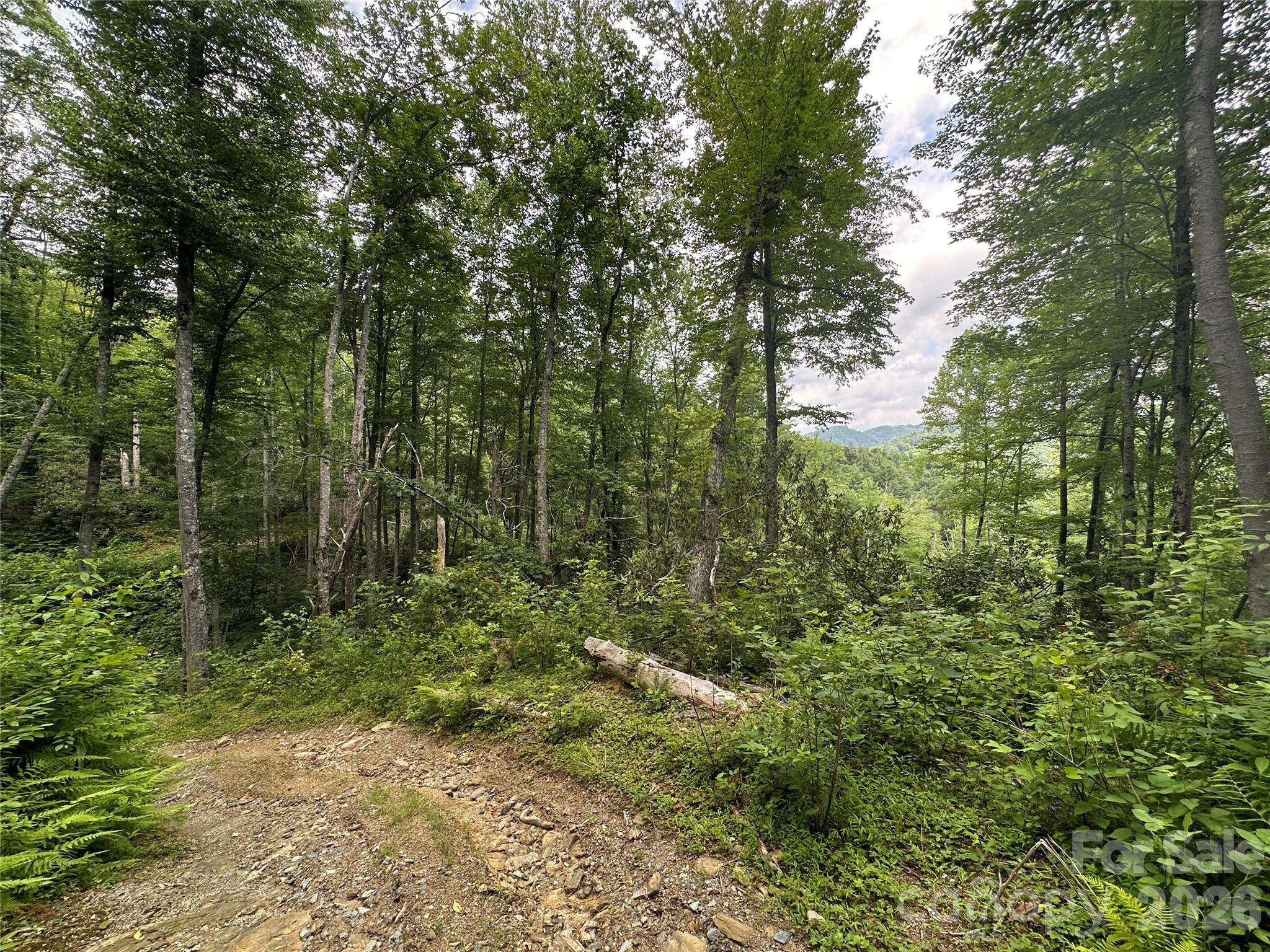 Tbd Nc Highway 194 None Property Photo 26