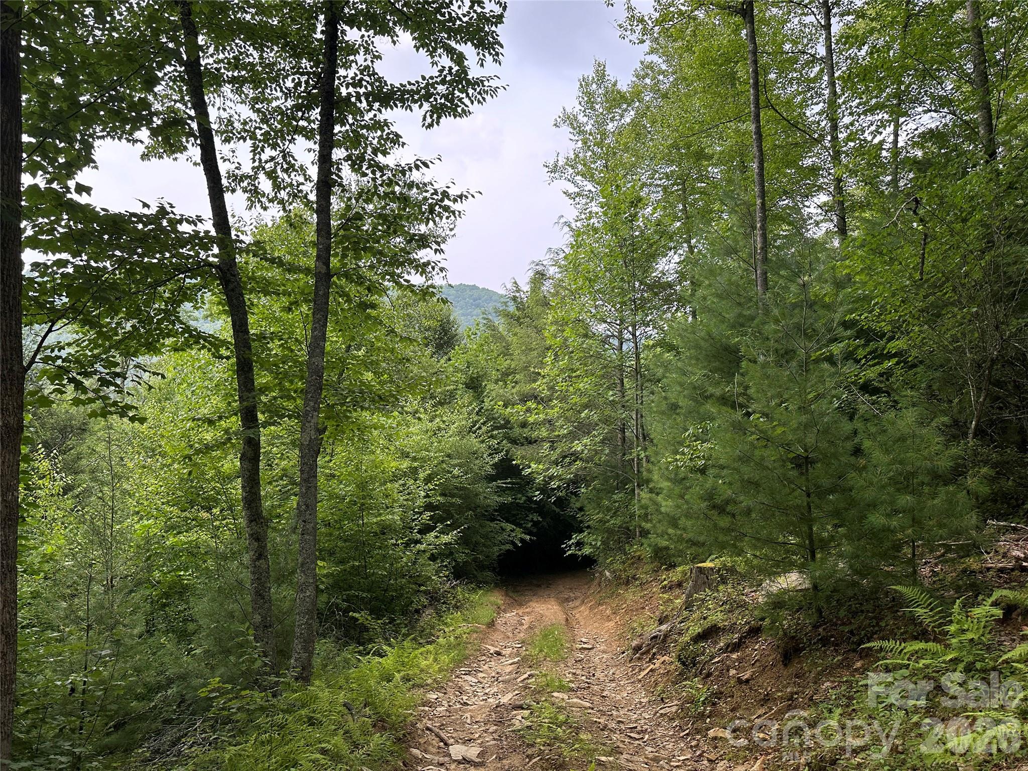 Tbd Nc Highway 194 None Property Photo 27
