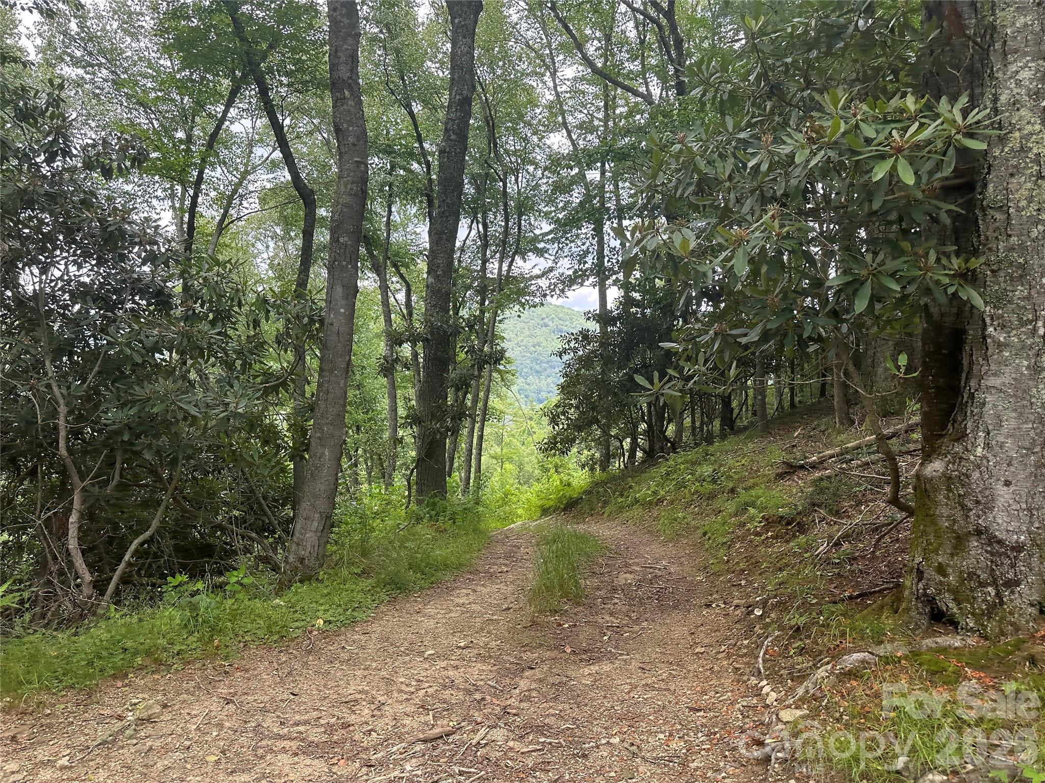 Tbd Nc Highway 194 None Property Photo 28