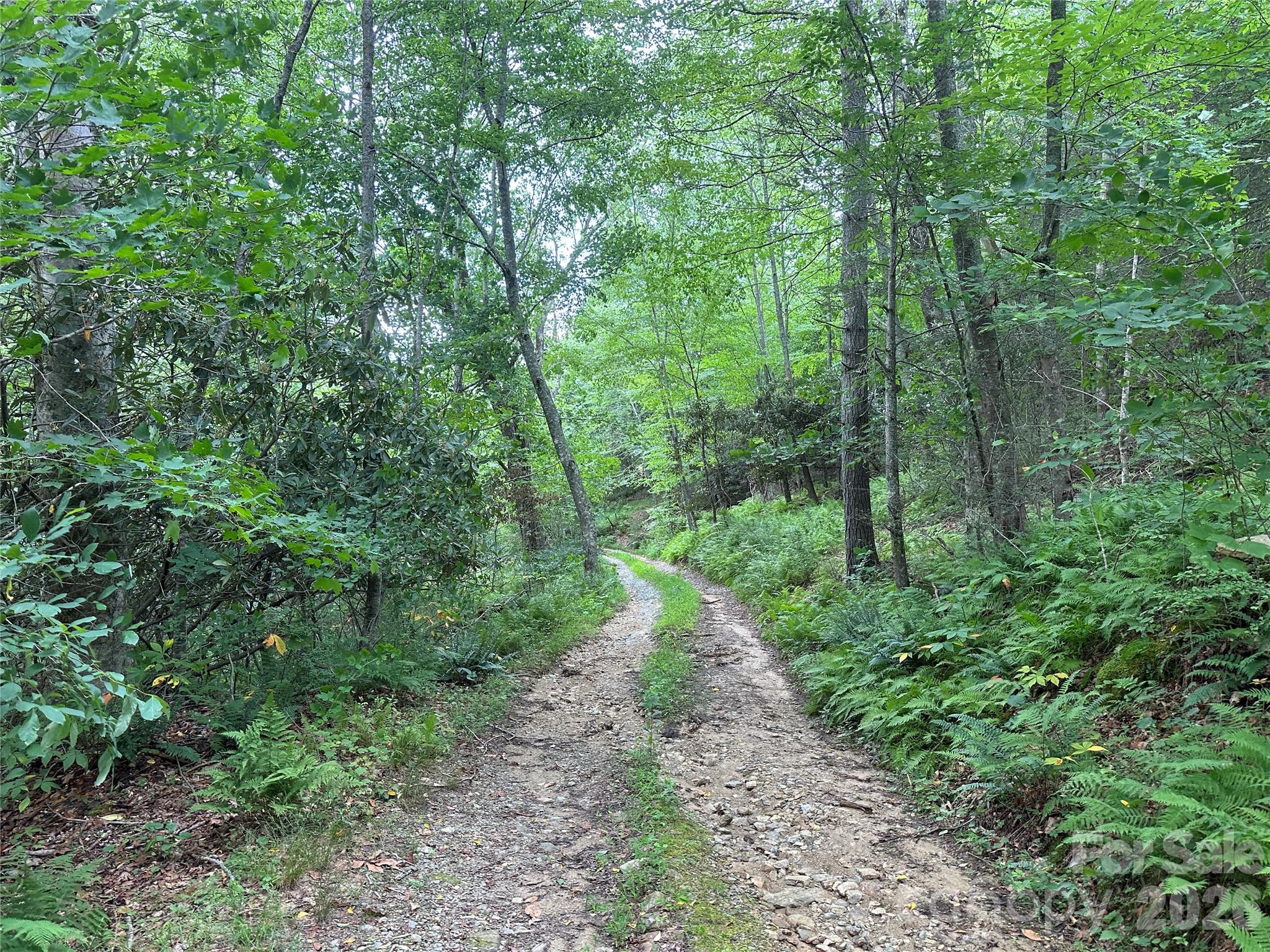 Tbd Nc Highway 194 None Property Photo 29