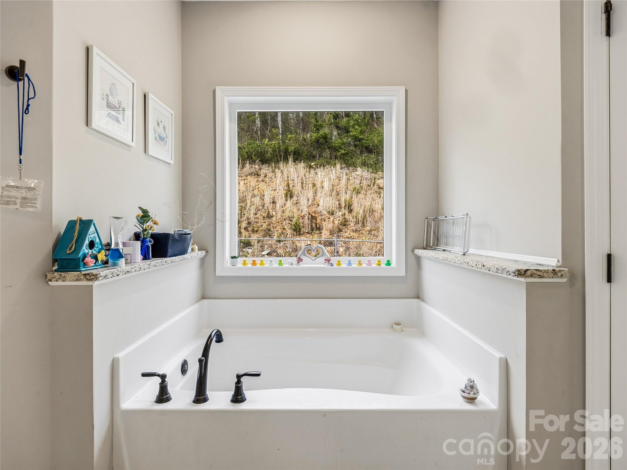 170 Starry Night Lane Property Photo 28