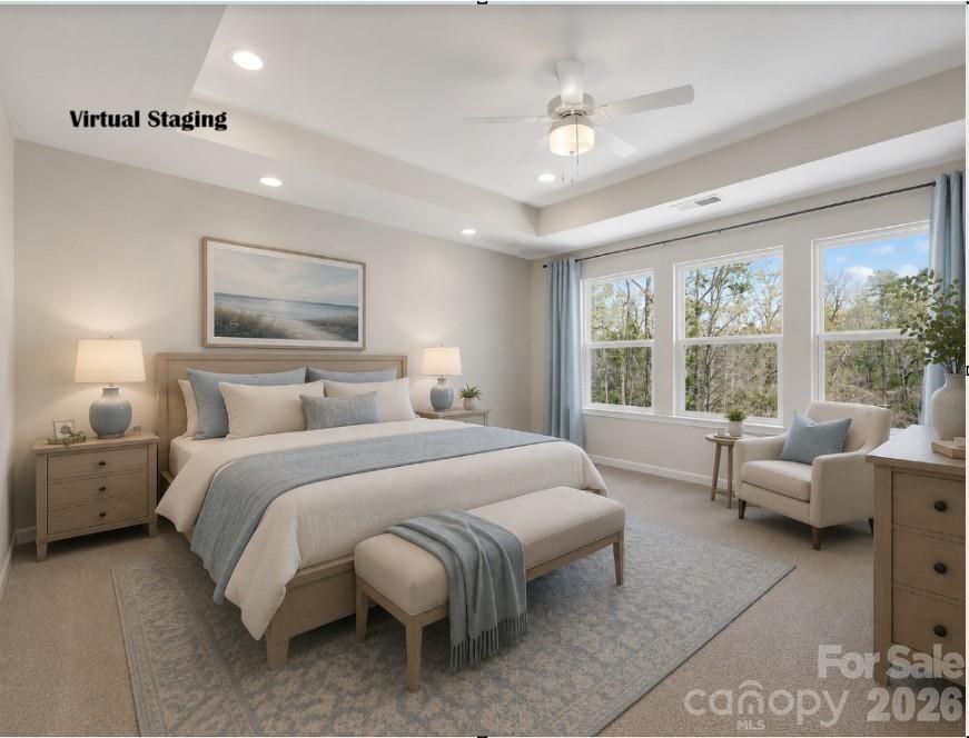 258 Alluvium Lane Property Photo 18