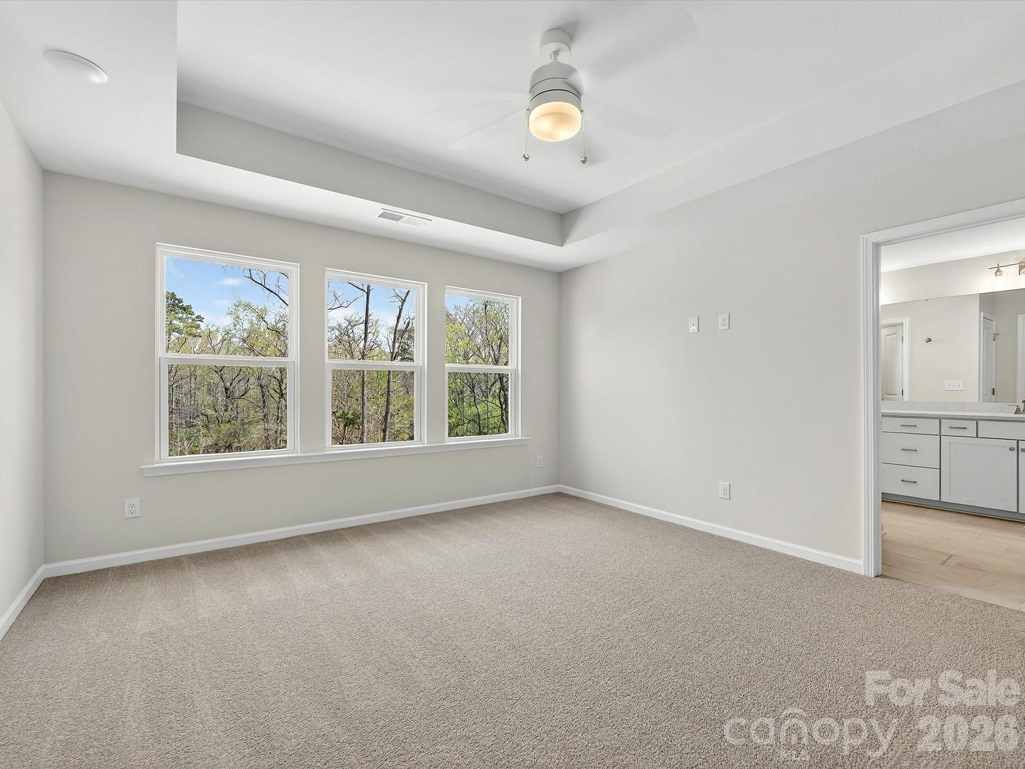 258 Alluvium Lane Property Photo 19