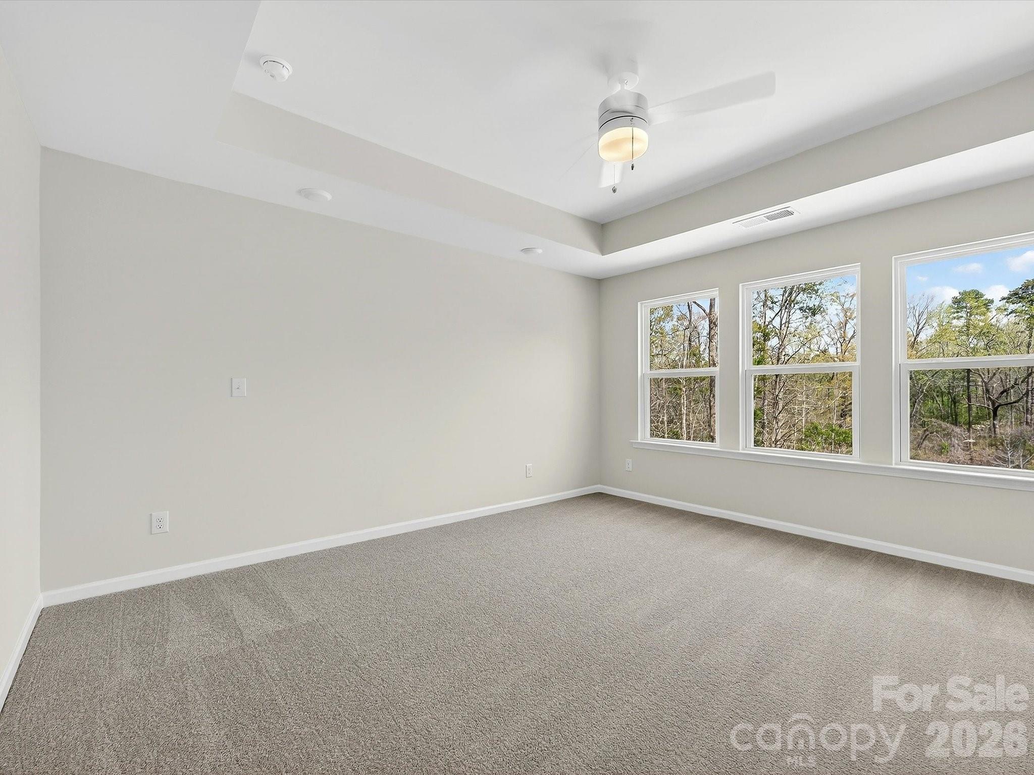 258 Alluvium Lane Property Photo 20