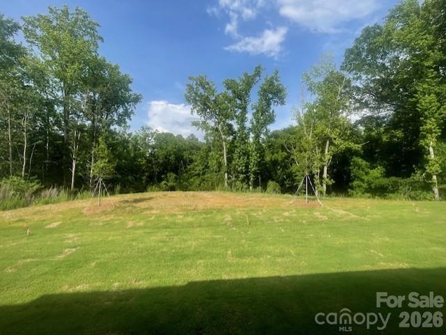 258 Alluvium Lane Property Photo 28