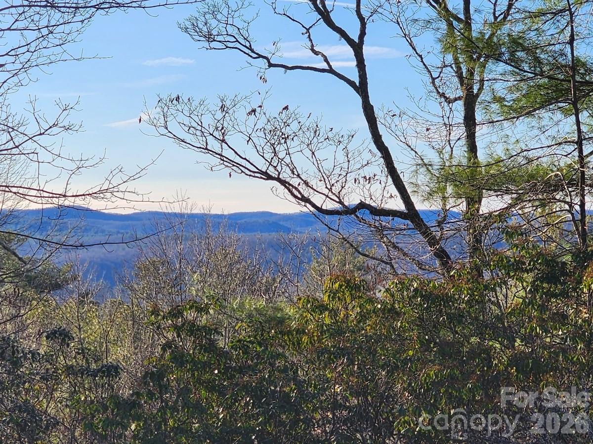 9999 Bulling Creek Road Property Photo 1