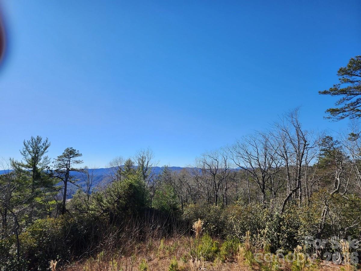 9999 Bulling Creek Road Property Photo 2