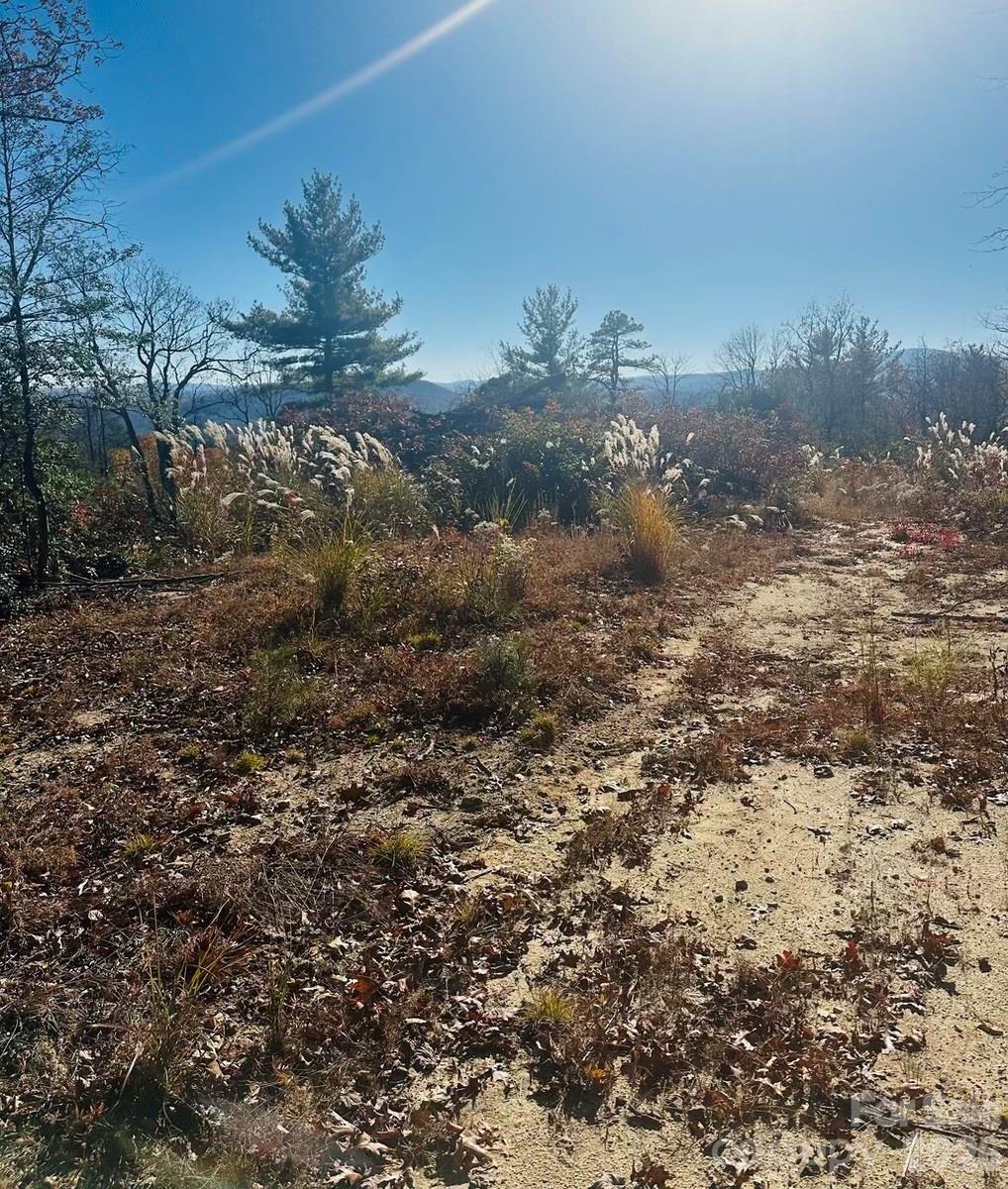 9999 Bulling Creek Road Property Photo 4