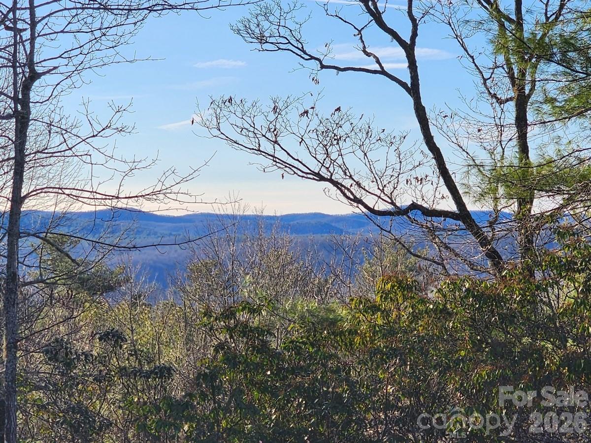9999 Bulling Creek Road Property Photo 5