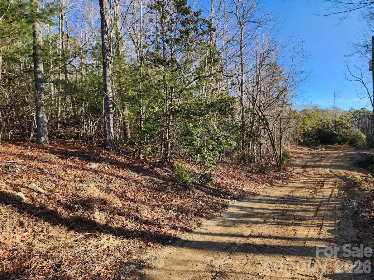 9999 Bulling Creek Road Property Photo 6