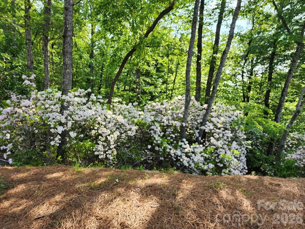 9999 Bulling Creek Road Property Photo 7