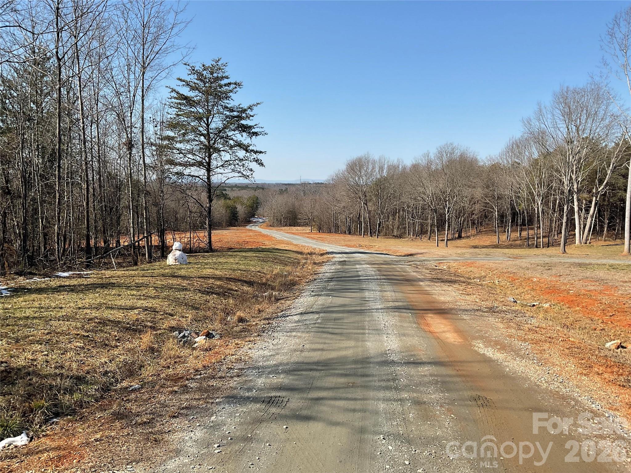 0 Springbrook Lane Property Photo 2