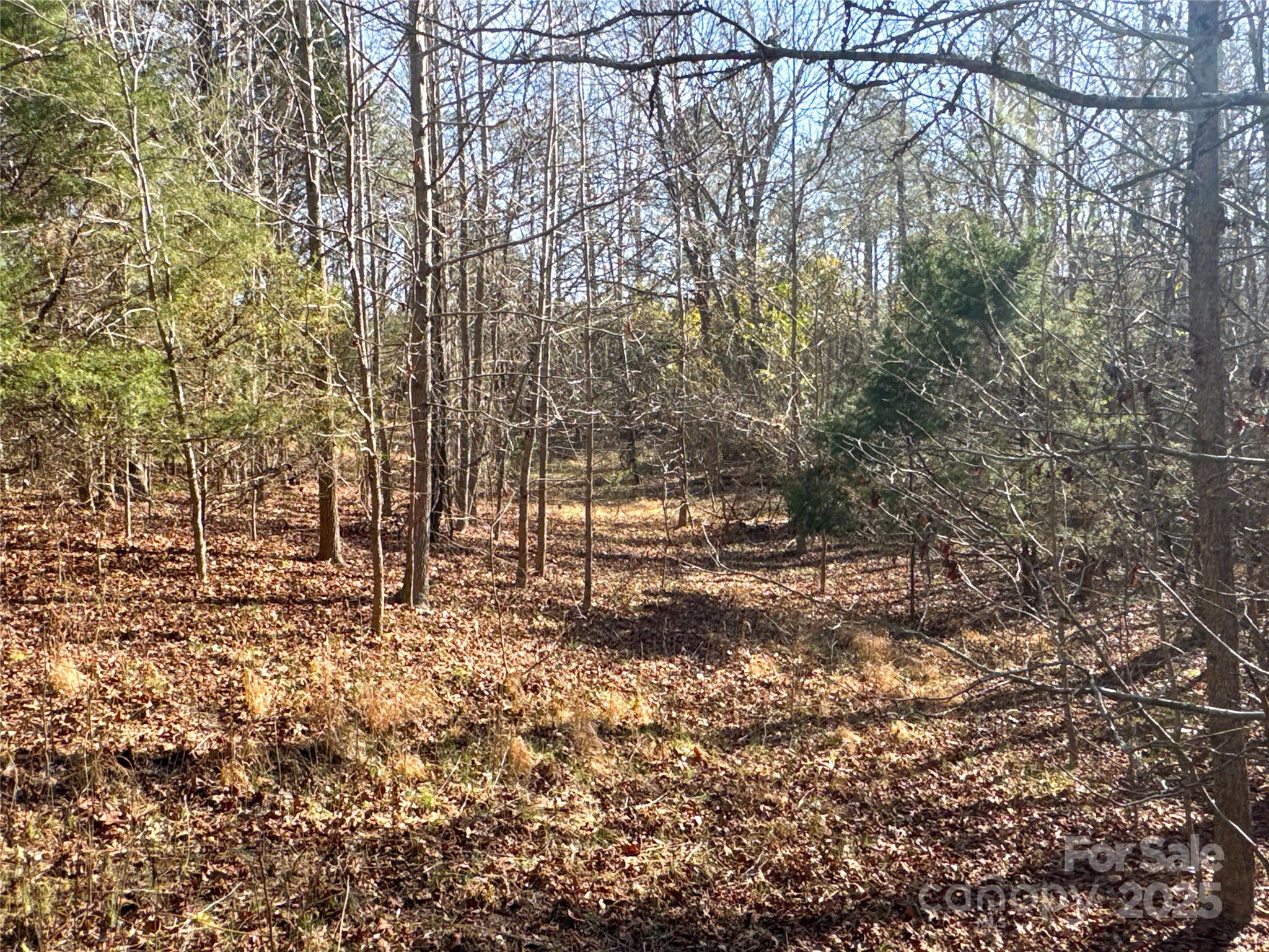 00 Ellis Ferry Road Property Photo 13