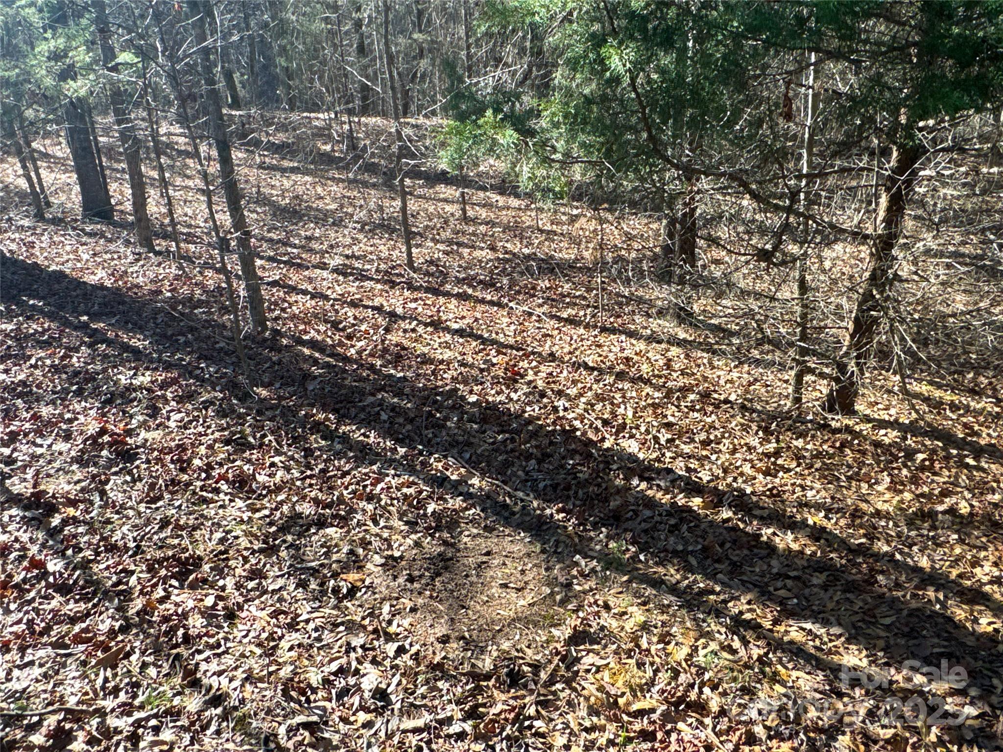 00 Ellis Ferry Road Property Photo 14